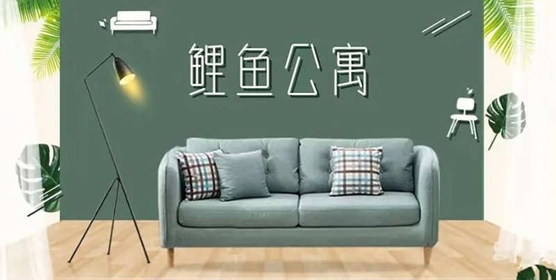 鲤鱼网络与慢云科技强强联手,实现合作共赢